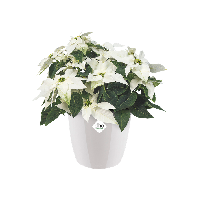 brussels diamond rund 14cm weiss